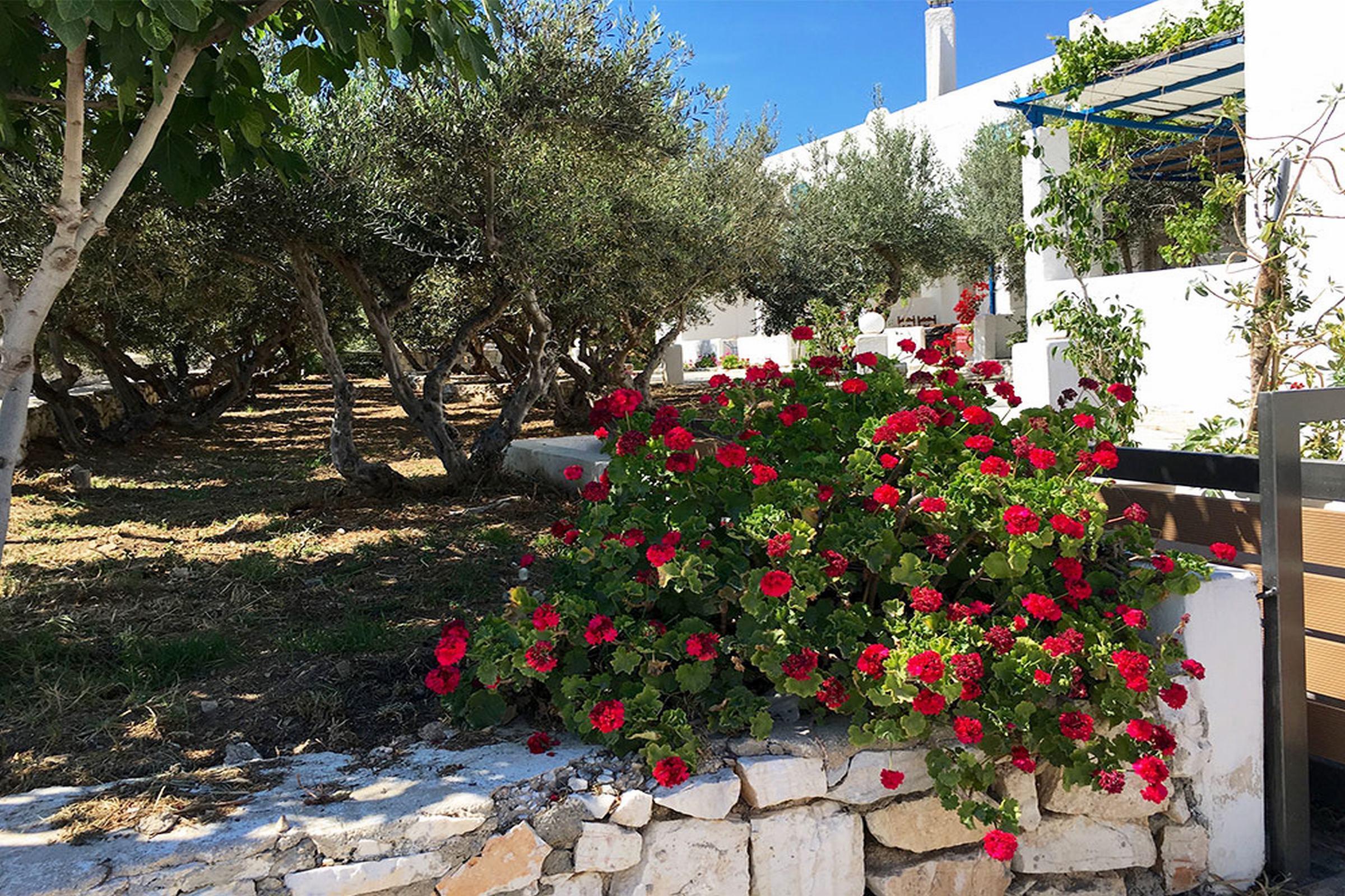 Amaryllis Beach Hotel Chrisi Akti  Eksteriør billede